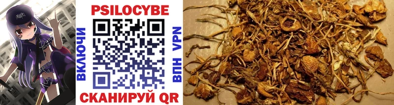 хочу наркоту  Уяр  мега зеркало  Псилоцибиновые грибы Psilocybine cubensis 